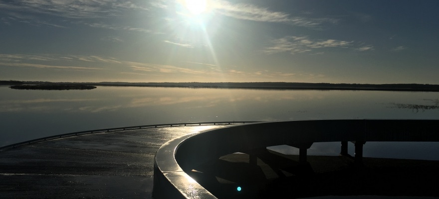 Billede taget en solrig dag, på en bro ud over Filsø sø