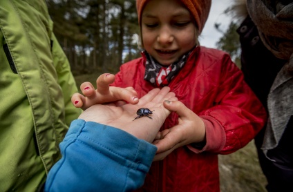 Et lille barn kigger interesseret på en fremrakt hånd med en bille