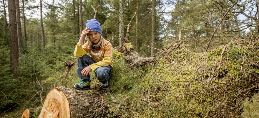 En lille dreng med blå hue, sidder oven på et fældet træ i skoven