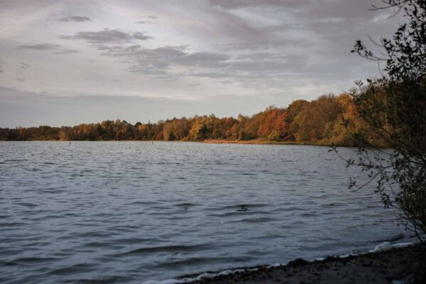 1600px_COLOURBOX56917973