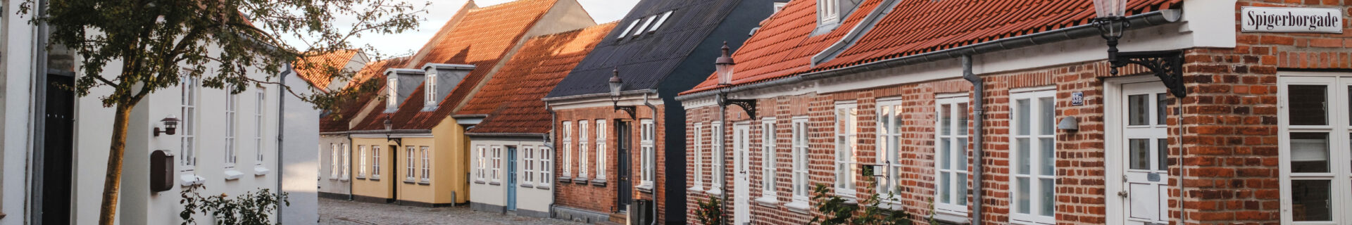 Web cover Trafik, kørekort og pas_